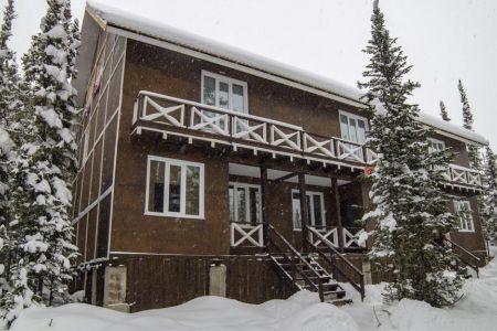 Внешний вид