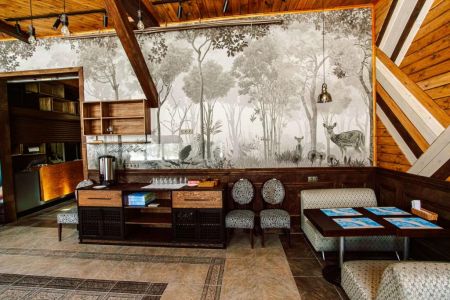 Внешний вид