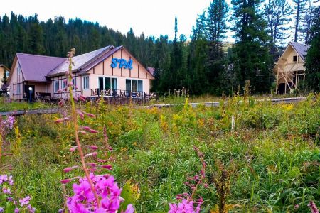 Внешний вид