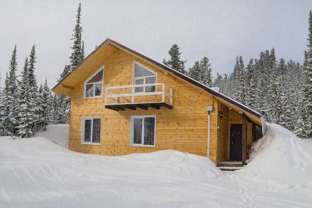 Внешний вид