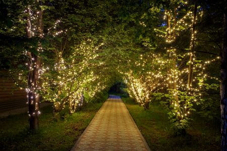 Территория