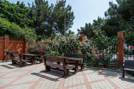 Внешний вид