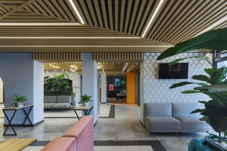 Внешний вид