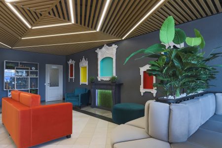 Внешний вид