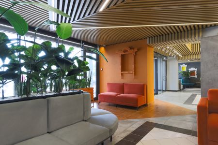 Внешний вид