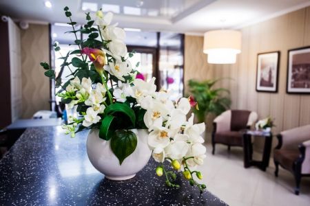 Внешний вид