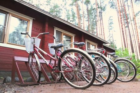 Внешний вид