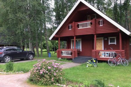 Внешний вид