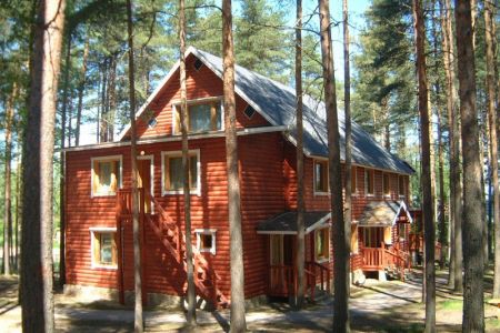 Внешний вид