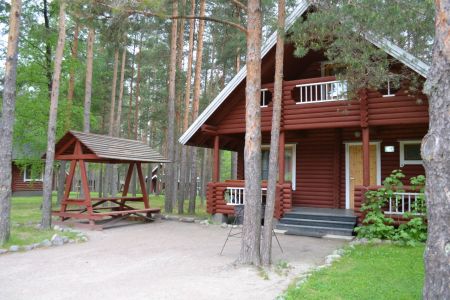 Внешний вид