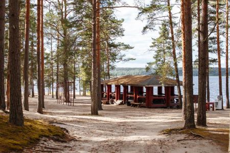 Внешний вид