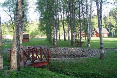 Внешний вид