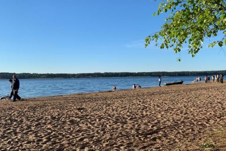 Внешний вид