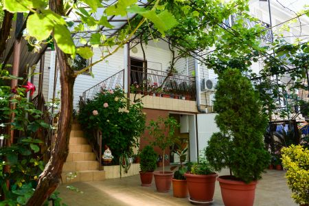 Звездочка (Адлер)