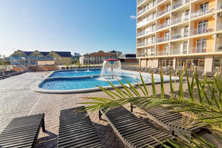 Внешний вид