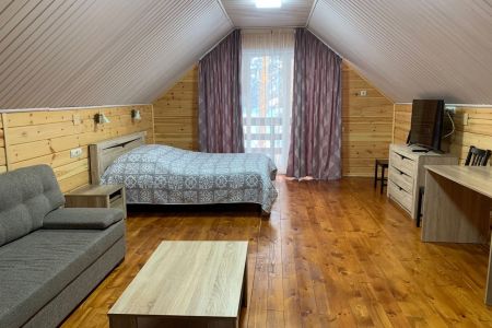 Полулюкс (с балконом/террасой)