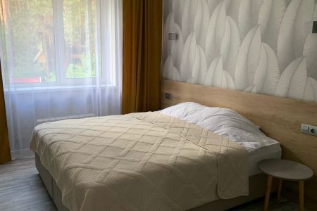 Полулюкс (с балконом/террасой)