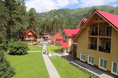 Внешний вид