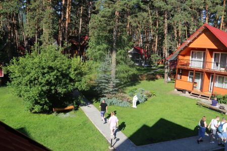 Внешний вид