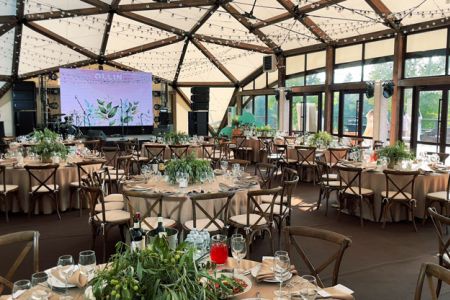 Рестораны и бары