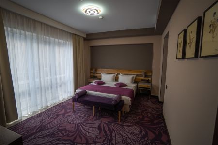 Стандартный 2-местный (для маломобильных граждан)