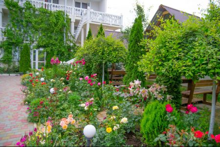 FullSizeRender-16-06-20-01-17-1