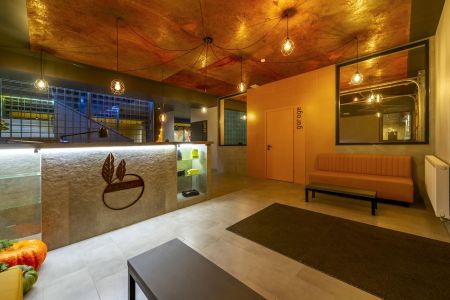 Внешний вид