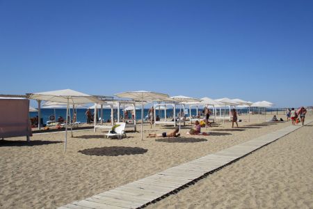 Корпус Парадиза