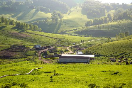 Маральник Никольское