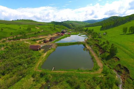 Маральник Никольское