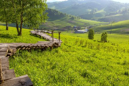 Маральник Никольское