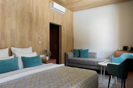 Супериор Плюс 2-местный (корпус №1)