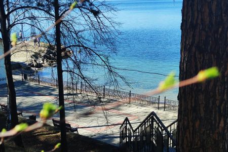 Внешний вид