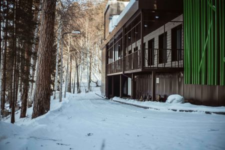 Внешний вид