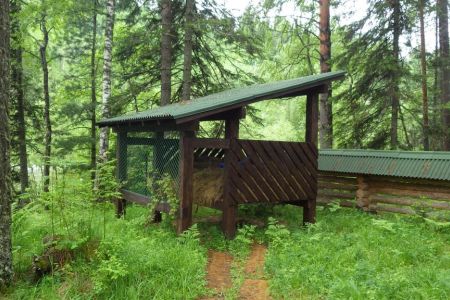 Внешний вид