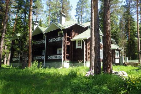 Внешний вид