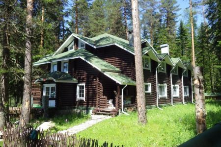 Внешний вид