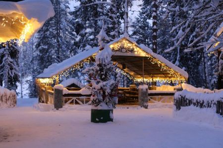 Внешний вид