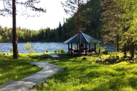 Внешний вид