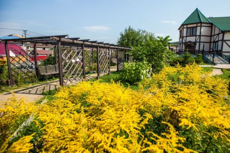 Внешний вид