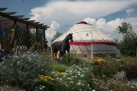 Внешний вид