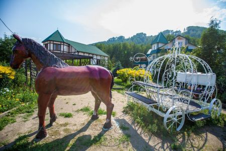 Внешний вид