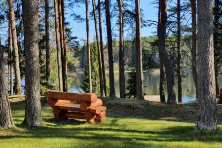 Территория