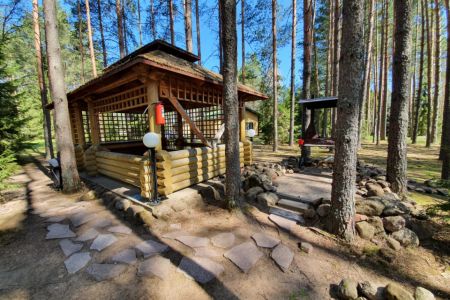 Внешний вид