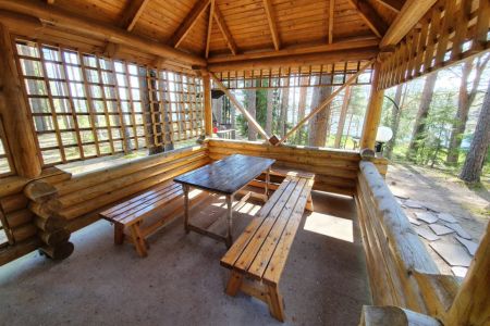 Внешний вид