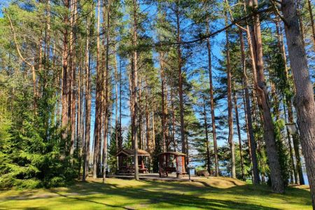 Внешний вид