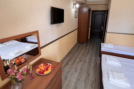 Полулюкс 4-местный