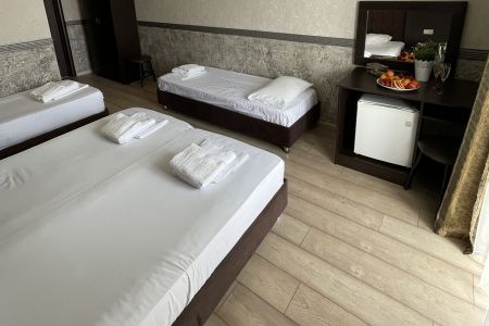 Полулюкс 4-местный