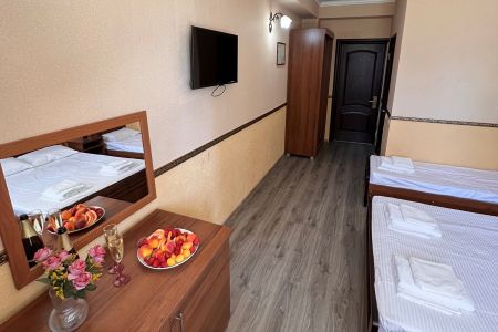 Полулюкс 4-местный