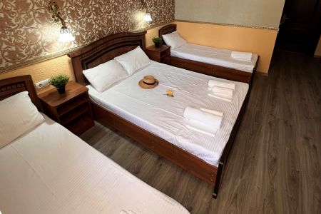 Полулюкс 4-местный